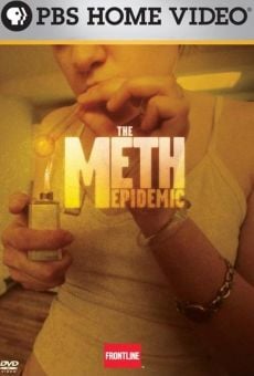 The Meth Epidemic online free