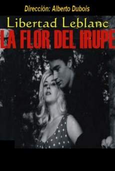 La flor del irupé online streaming