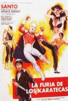 La furia de los karatecas online free