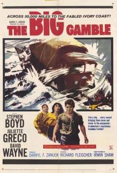 The Big Gamble online kostenlos