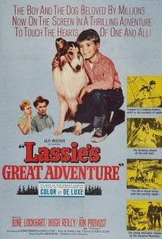 Lassie's Great Adventure streaming en ligne gratuit