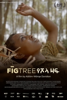 Fig Tree online kostenlos