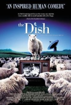 The Dish online