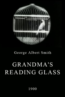 Grandma's Reading Glass