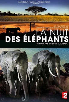 Ver película La nuit des éléphants