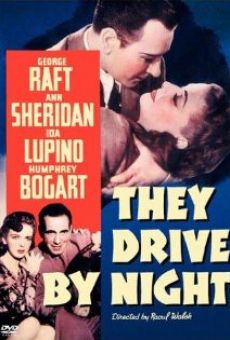 They Drive by Night online kostenlos