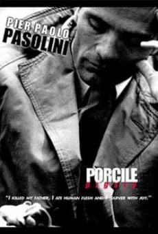 Porcile online streaming