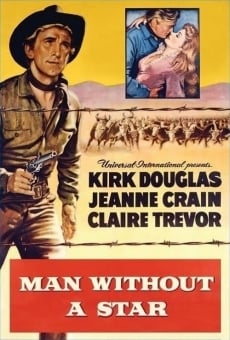 Man Without a Star online kostenlos