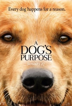 A Dog's Purpose on-line gratuito