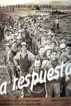 La respuesta online free