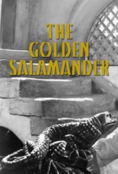 Der goldene Salamander