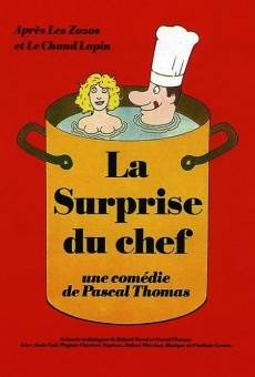 Ver película La sorpresa del chef