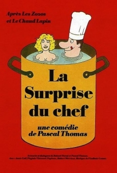 La surprise du chef online streaming