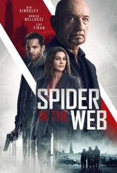 Spider in the Web gratis