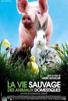 La vie sauvage des animaux domestiques online