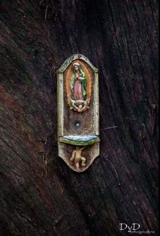 La virgen y el fotógrafo online streaming