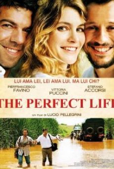 The Perfect Life en ligne gratuit