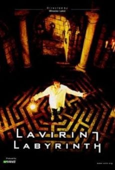 Ver película Labyrinth