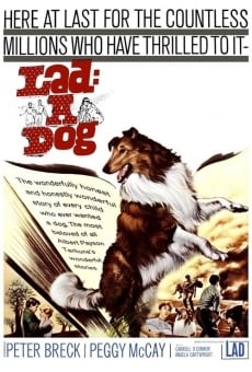 Lad: A Dog online kostenlos