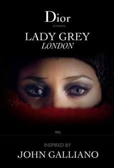 Lady Dior: Lady Grey London online