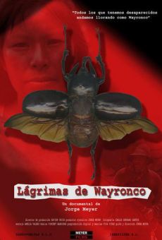 Watch Lágrimas de Wayronco online stream