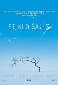 Stiklo salis