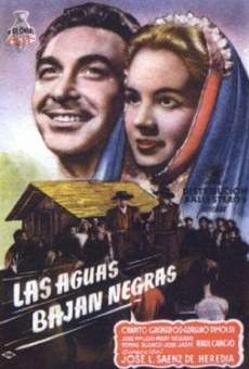 Las aguas bajan negras