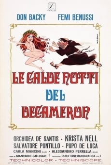 Le calde notti del Decameron streaming en ligne gratuit