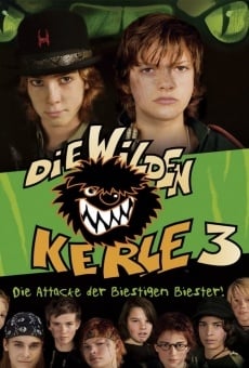 Die Wilden Kerle 3