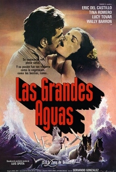 Las grandes aguas online streaming