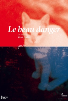 Le beau danger