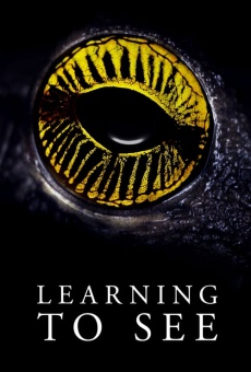 Ver película Learning to See