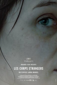 Les corps étrangers