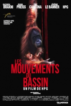 Les mouvements du bassin en ligne gratuit