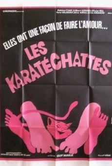 Les pornochattes on-line gratuito