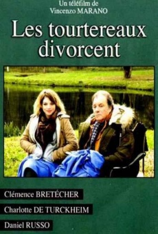 Ver película El divorcio de los tortolitos