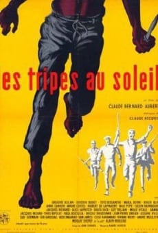 Les tripes au soleil streaming en ligne gratuit