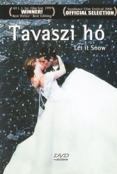 Snow Days on-line gratuito