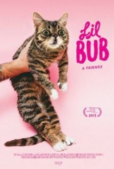 Lil Bub & Friendz online