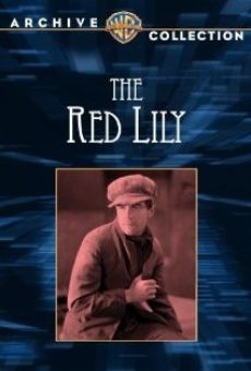 The Red Lily