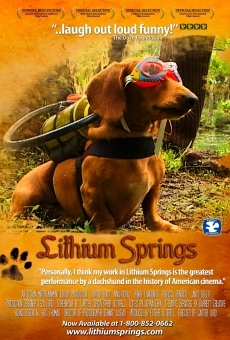 Lithium Springs online free