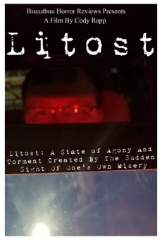 Litost online streaming