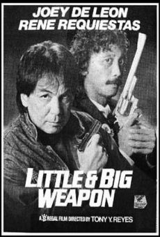 Ver película Little & Big Weapon