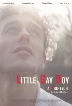 Little Gay Boy, película completa en español