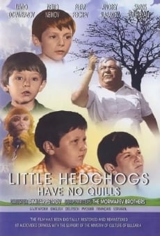 Ver película Little Hedghogs Have No Quills