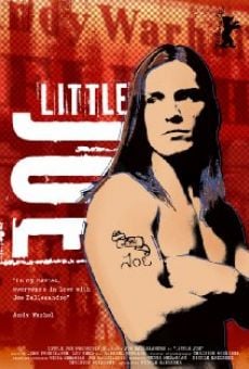 Watch Little Joe online stream