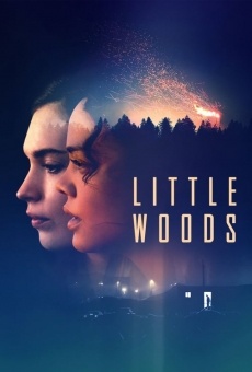 Ver película Little Woods