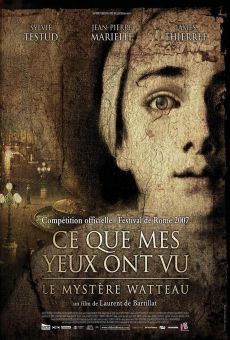 Ce que mes yeux ont vu - Le mystère Watteau online streaming