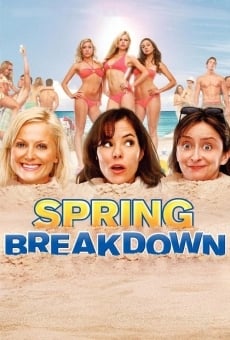 Spring Breakdown online kostenlos