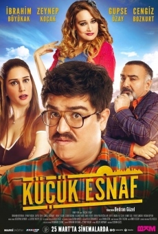 Küçük Esnaf streaming en ligne gratuit